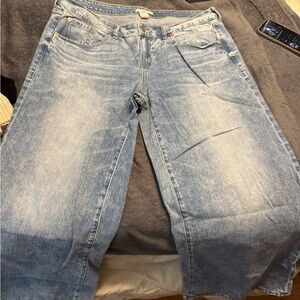 Torrid Light Blue Flare Jeans